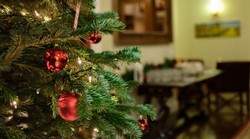 Holiday Open House