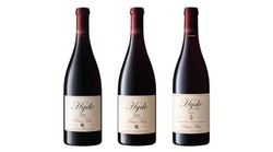 Pinot Noir Library Vertical