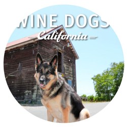 Wine Dogs of California 4